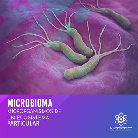 Você Sabe O Que é Microbioma Ou Microbiota Nacientifico