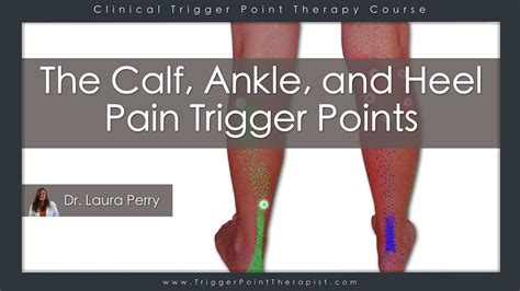 The Calf Ankle And Heel Pain Trigger Points Youtube