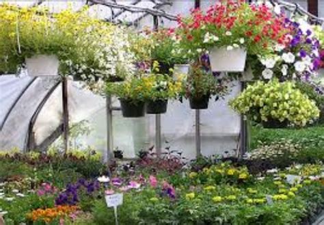 Tanaman hias gantung bisa menjadi opsi untuk membuat rumah lebih indah dan asri. 20+ Top Desain Taman Dengan Bunga Anggrek
