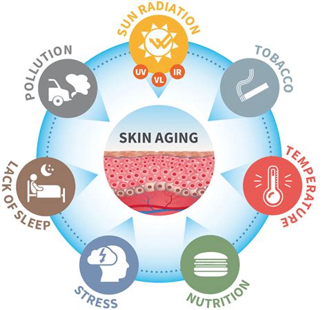 The Skin Aging Exposome Journal Of Dermatological Science