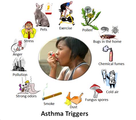 How To Reduce Asthma And Allergy Triggers In Your Home Uga Greenway
