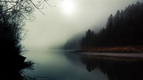 Misty River Foggy Forest Scenery Wallpaper Outdoor