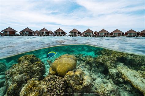Maldives Reef House Thien Nguyen Images