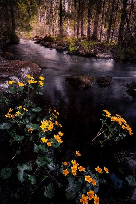 Ponderation Small Creek By Juuso Oikarinen Nature Pictures Nature