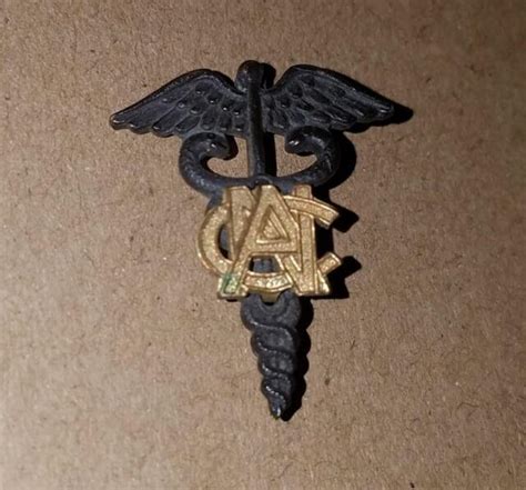 Ww1 Us Army Nurse Corps Caduceus Insignia Pin Ebay