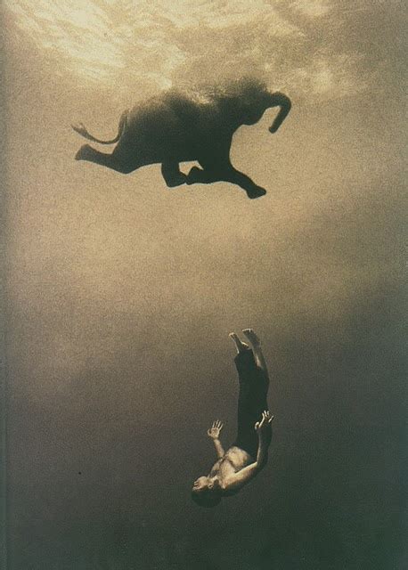 Gregory Colbert Ashes And Snow Underwater Elephant And Man Photograph