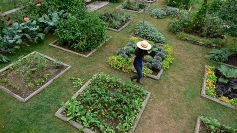 Usually, balconies and terraces are very close to. 12 Great Tips For Starting A Kitchen Garden Every Beginner ...