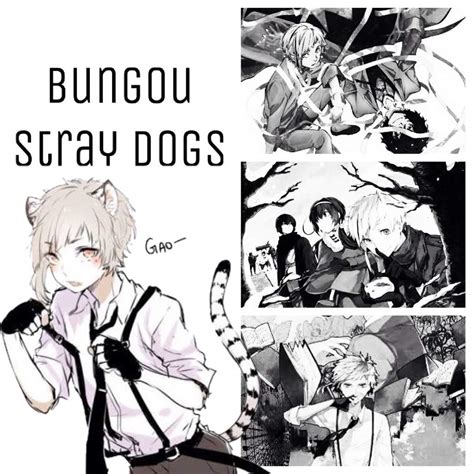 Bungou Stray Dogs Anime Amino