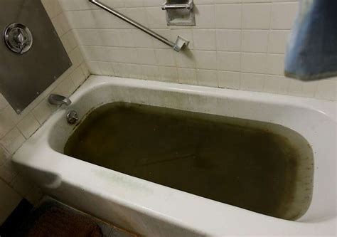 Bathtub Is Clogged 5 Questions About Your Clogged Bathtub Answered