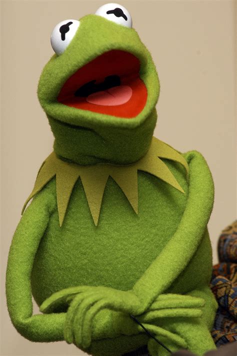 Kermit The Frog Animals Frogs Hd Desktop Wallpaper