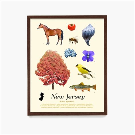New Jersey State Symbols Poster New Jersey Art New Jersey Etsy Australia