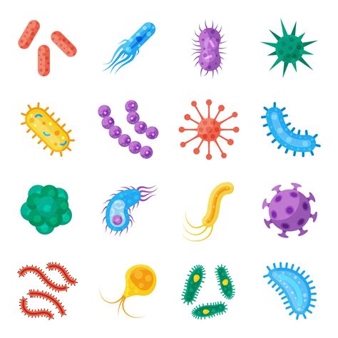 Types Of Bacillus Bacteria Health N Well Com