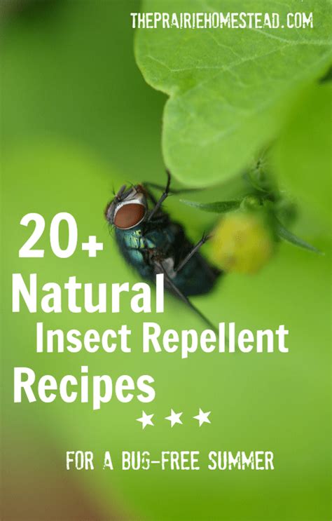 How to make a natural insect repellent for adults, kids and pets? 20+ Homemade Insect Repellent Recipes | The Prairie Homestead