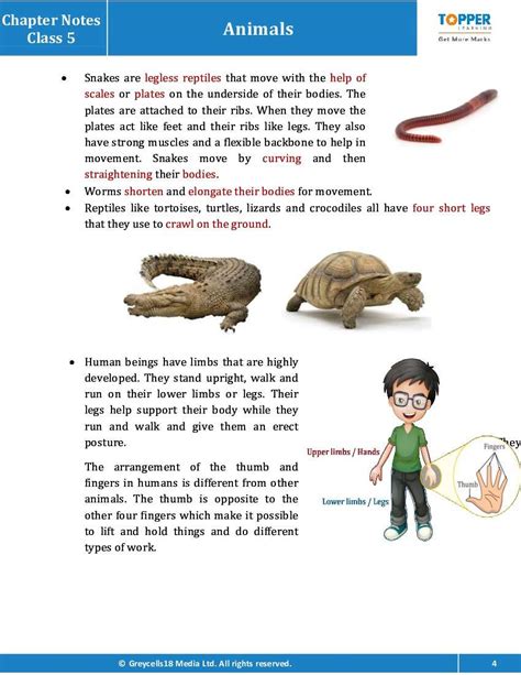 Chapter Notes For Class 5 Junior General Science Animals Topperlearning