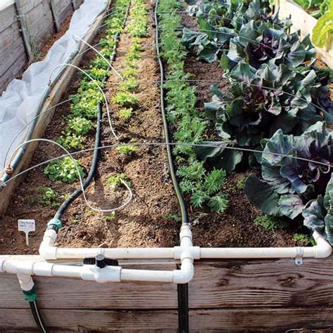 How To Build A Drip Irrigation System Diy Mother Earth News