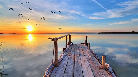 1080p Free Download Pier Above The Calm Lake Shore Dawn Birds