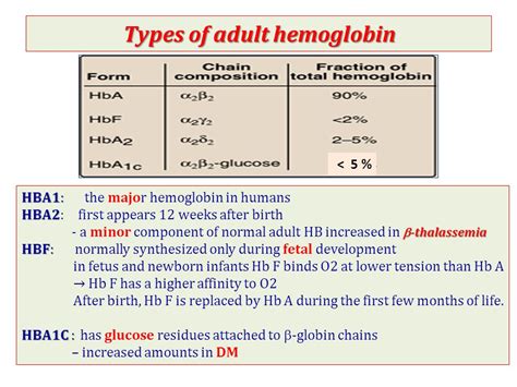 Fetal Hemoglobin Adult Hemoglobin Sex Archive