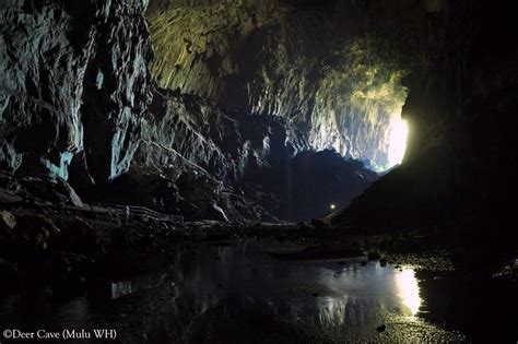 3 Days Amazing Mulu Caves Deer Clearwater Lang And Wind Caves