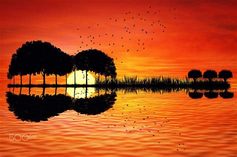 Trees Arranged In A Shape Of A Guitar On A Sunset Background Music