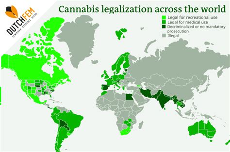 La Legalización Del Cannabis Se Ha Convertido En Un Fenómeno Mundial