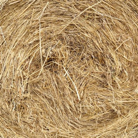 Premium Photo Seamless Texture Of Hay Straw Dried Hay Background