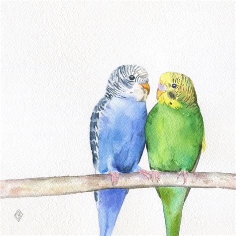 Print Of Budgies Watercolor Painting Textured Fine Art Etsy