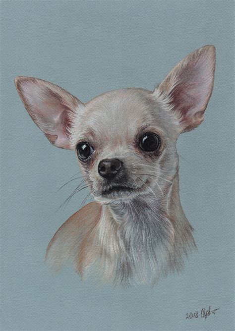 This Is Entirely Hand Drawn Portait Of Chihuahua 21cm X 30cm This