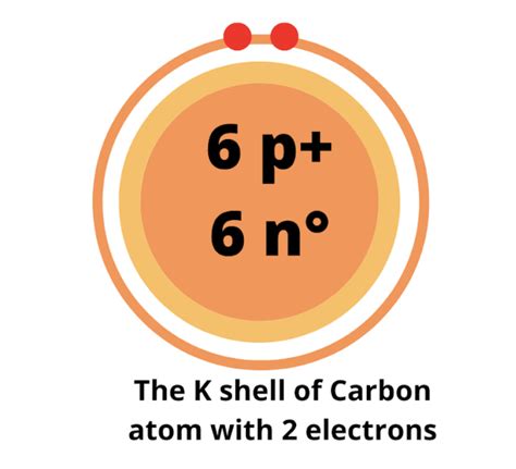 Carbon Bohr Model Diagram Steps To Draw Techiescientist Techscient