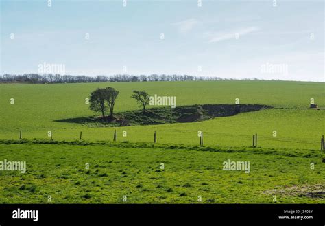 Countryside Cleft Scar Hollow Hole Fissure In Tree Lined Grass Field