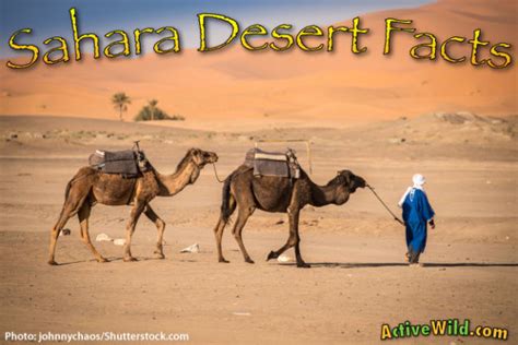 It is one of several desert and xeric shrubland ecoregions that cover the northern portion of the african continent. Sahara Desert Facts For Kids & Students: Pictures ...