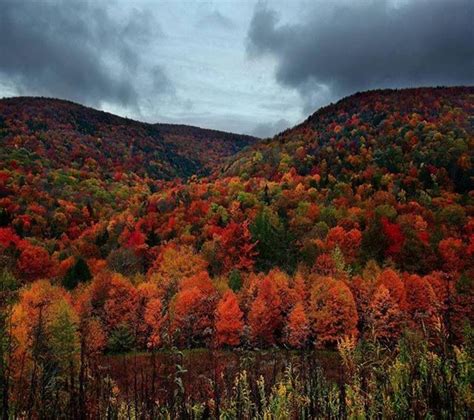Appalachian Mountains Kentucky Us Autumn Magic Autumn Cozy Autumn Art
