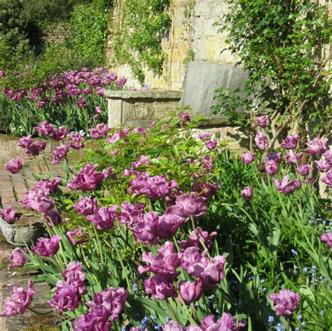 Pashley Manor Gardens Purples By The Pool By Kate Wilson
