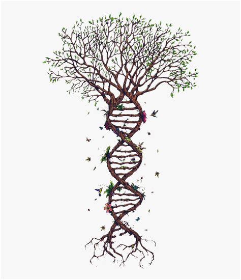 Transparent Spiral Clipart - Tree With Dna Roots, HD Png Download ...