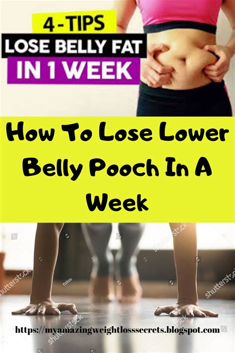 Pin On Lower Belly Pooch