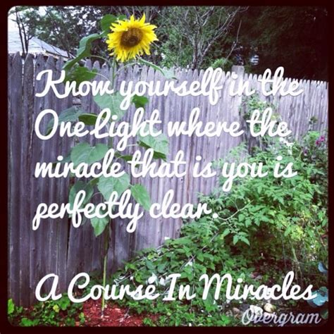 Quote From A Course In Miracles To Brighten Your Day Course In