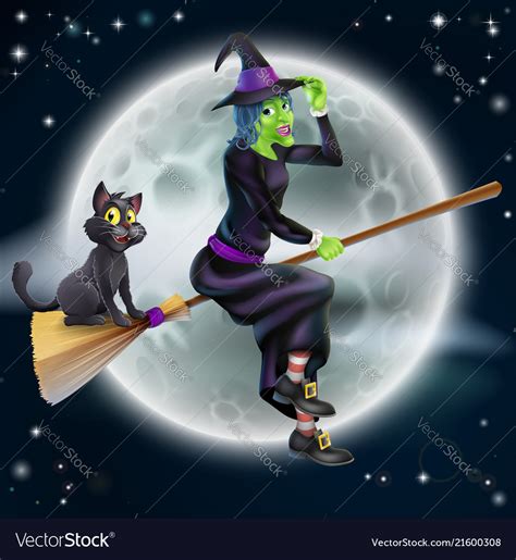 Witch Flying On Broom And Night Sky Royalty Free Vector