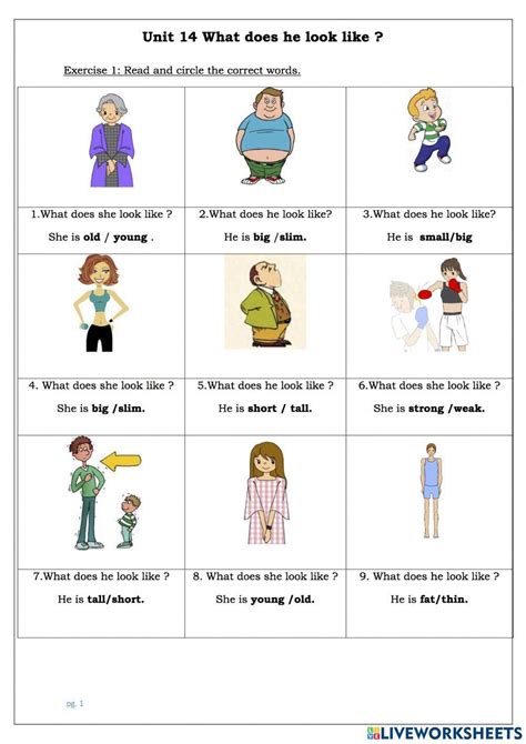 What Does She Look Like Exercise Live Worksheets