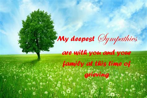 50 Sympathy Card Messages And Sympathy Message Examples