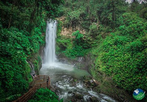 La Paz Waterfall Gardens Waterfalls In Alajuela Costa Rica