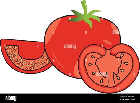 Ilustración Vectorial De Tomate Rojo Colorido Con Pieza Completa Y