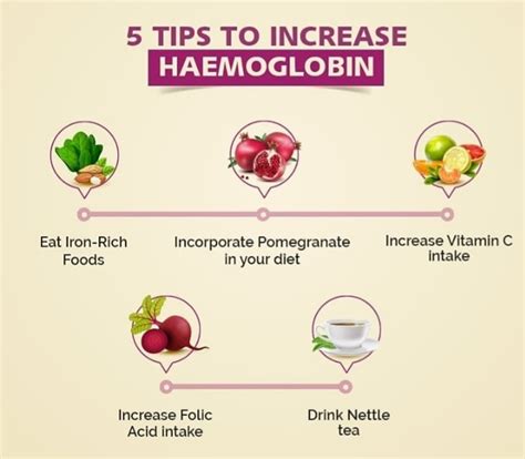 Five Tips To Increase Hemoglobin By Dt Neha Suryawanshi Lybrate