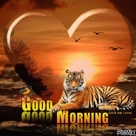 Tiger Good Morning Gif Pictures Photos And Images For Facebook
