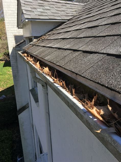 Spring Has Sprung So Have Your Gutters 5 Tips For Trouble Free