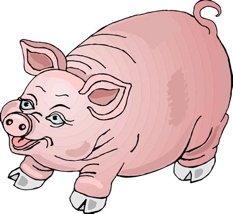 Pig Cartoons Clipart