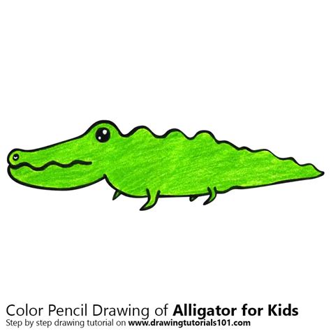 How To Draw An Alligator For Kids Animals For Kids Step By Step