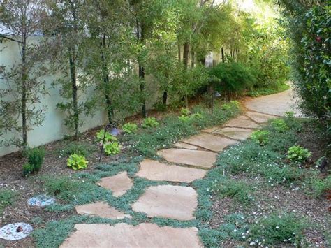 Pro Portfolio Lawn Swap For Low Water Landscape In Sherman Oaks Low