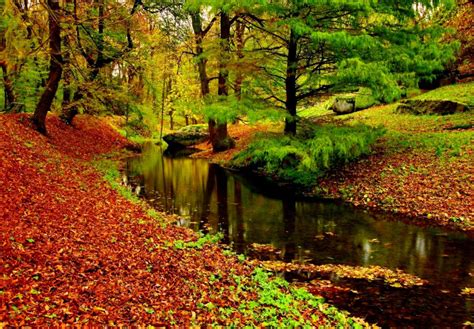 Autumn Serenity Wallpapers Wallpaper Cave