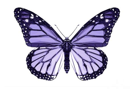 Purple Butterfly Painting By Paul Quarry Pixels
