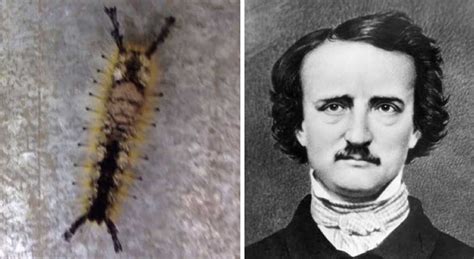 Browse the user profile and get inspired. 70 Things That Are Hilariously Similar To Each Other (Part ...