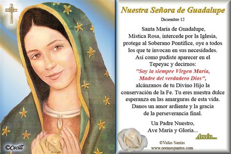Virgencita De Guadalupe Frases Imagui